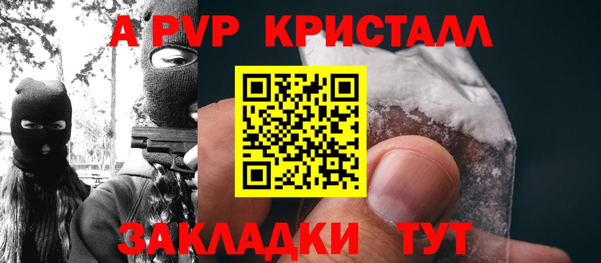 Альфа ПВП СК Кингисепп