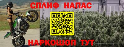 ешки Краснознаменск