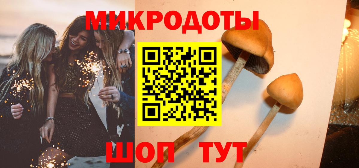 цены   Галлюциногенные грибы мицелий  Галлюциногенные грибы GOLDEN TEACHER  Вход с VPN  Кингисепп 